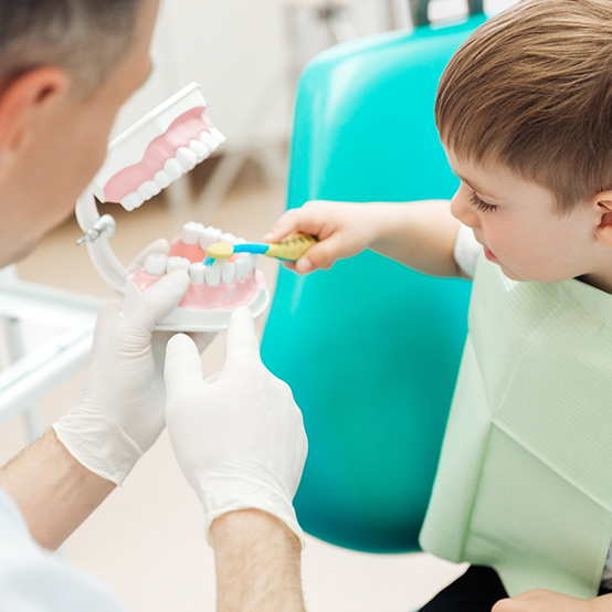 Dentist holding a model of the teeth while child patient brushes them