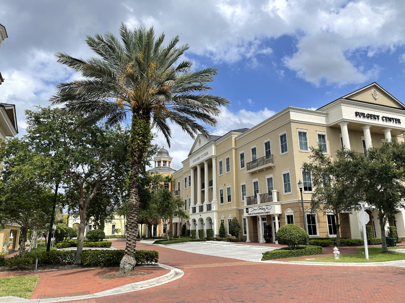 Plaza with palm trees